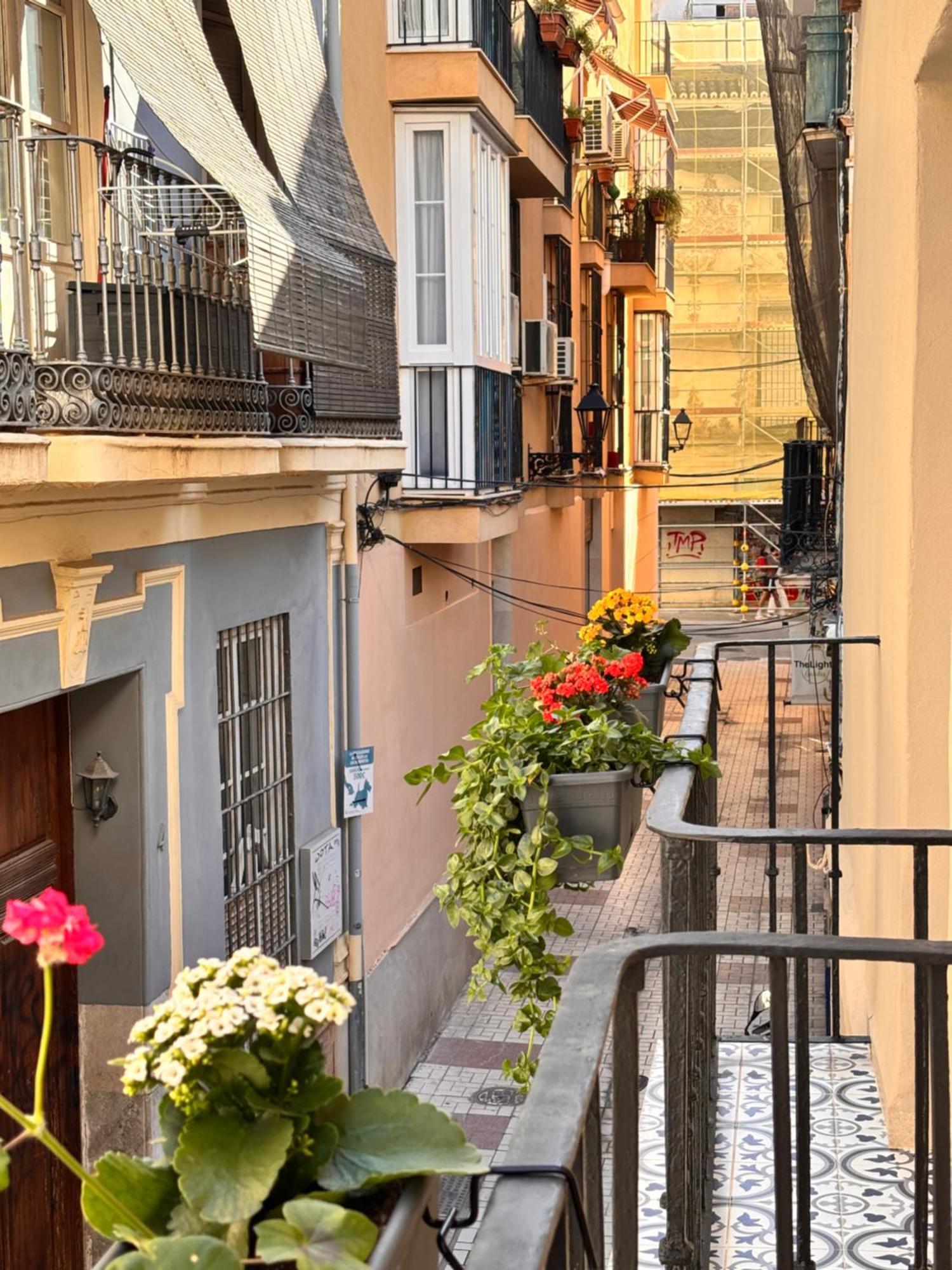 Affittacamere Shanti's Andalusian Málaga